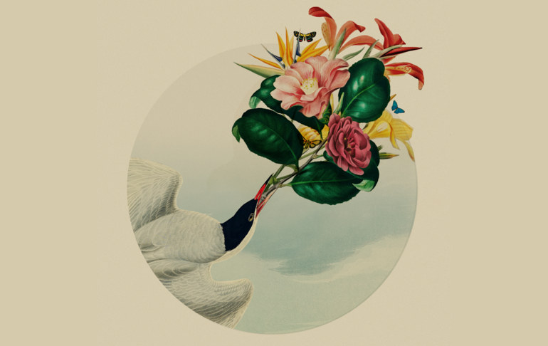 Letters to the Future