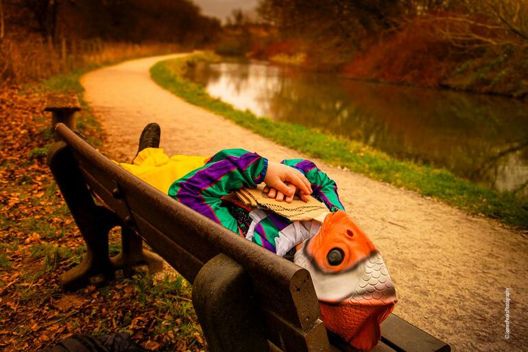 Stephen Catling: Clownfish Out of Water