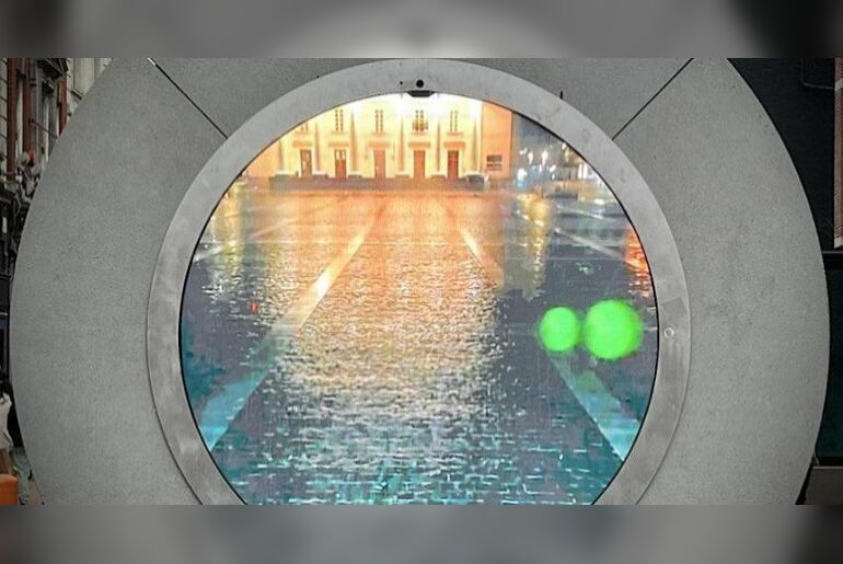 Surface Cat / Sciatica Finch