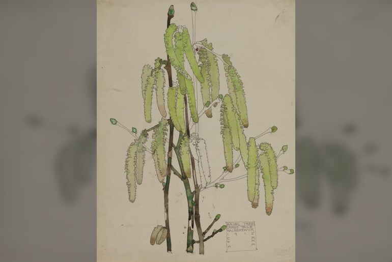 Twilight Tour - Mackintosh at The Hunterian