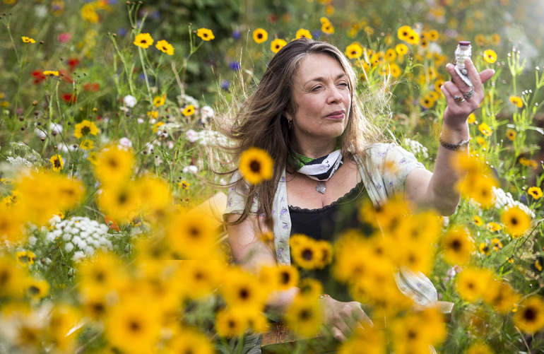 Herbal Magic: Amanda Edmiston on Collected Cutiosities