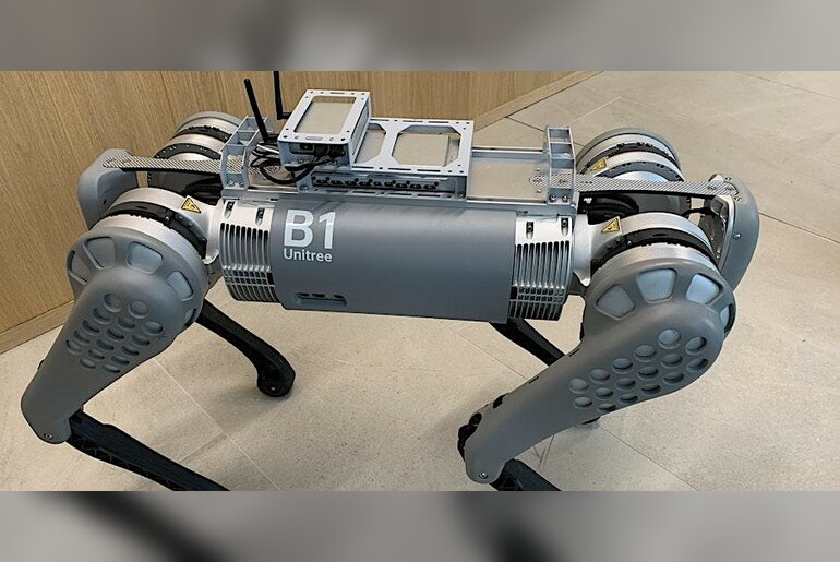 Winter Warmer: Winter Fun with the Robot Dog