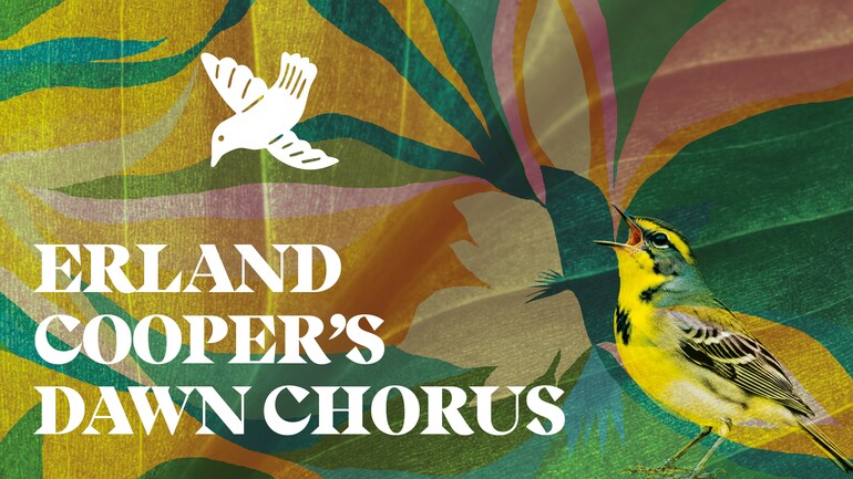 Erland Cooper's Dawn Chorus
