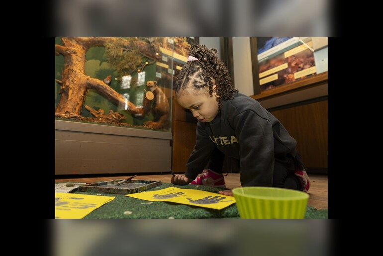 Mini Museum Explorers