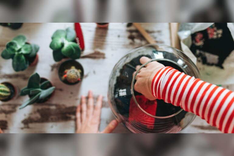 Terrarium fun
