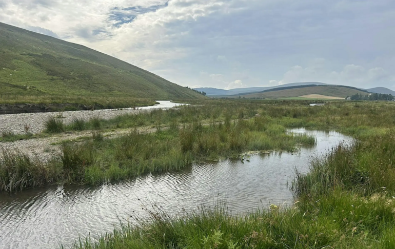 From the Burn to the Bioregion
