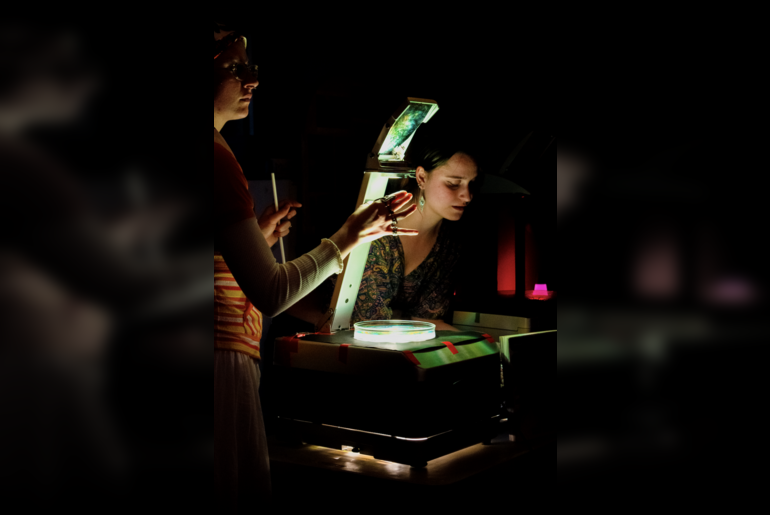 A Parfait Luz Experience