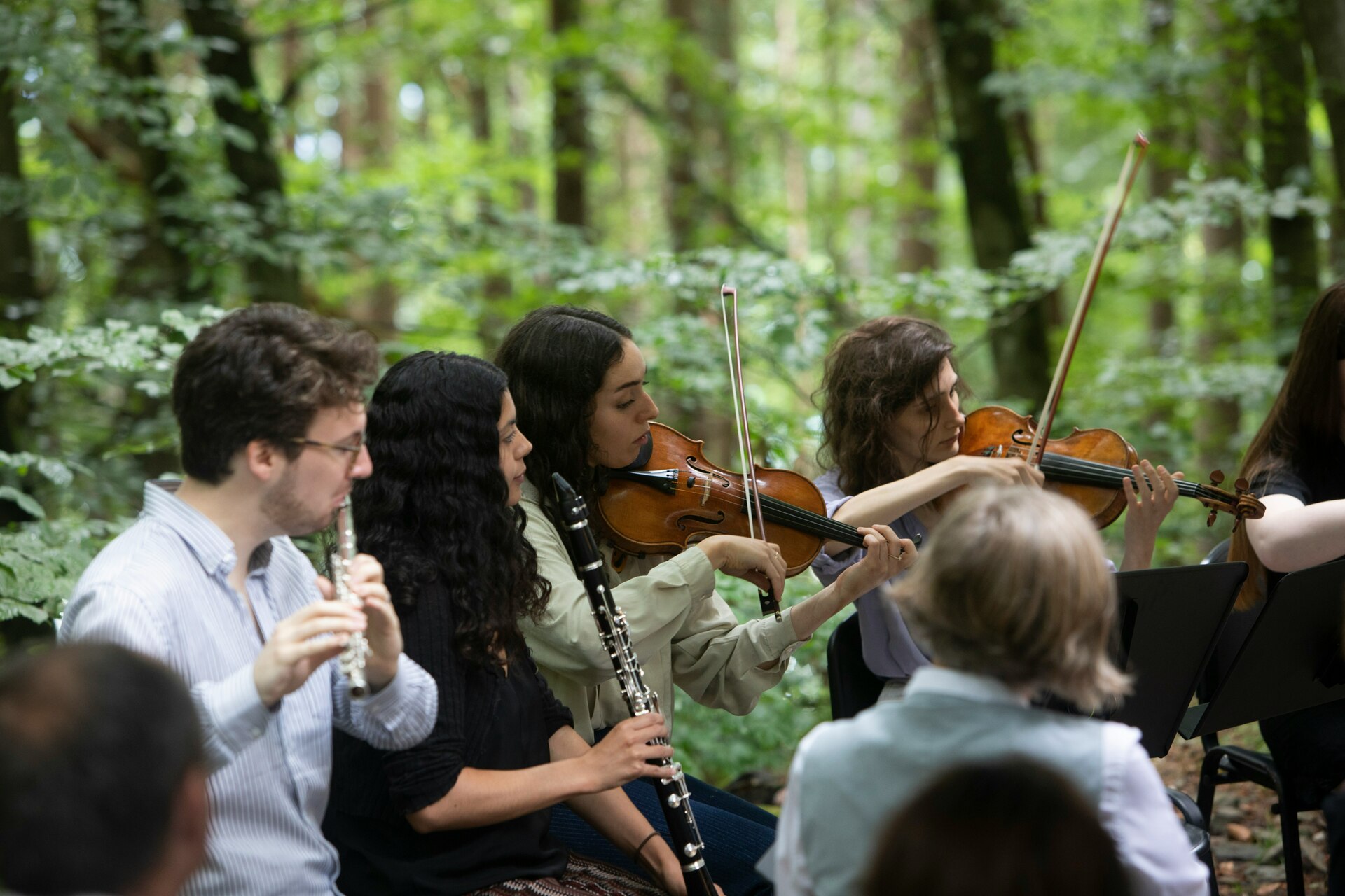 Orchestra For The Earth - Haydn And Haas