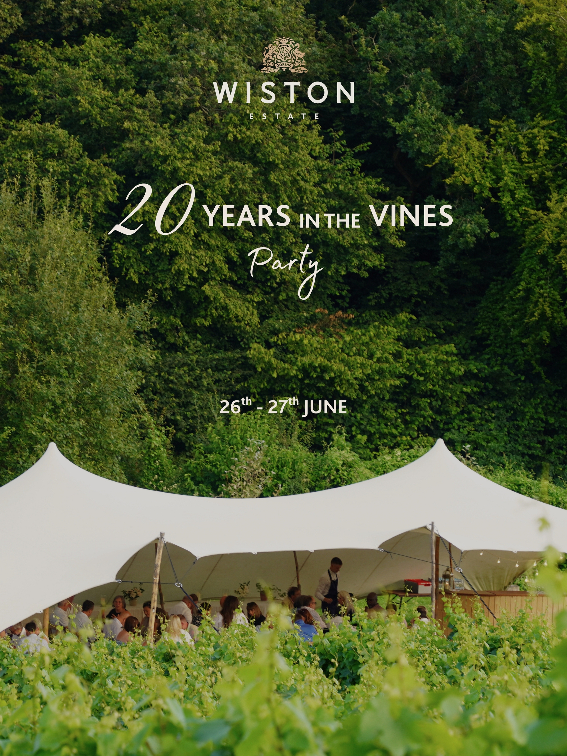 20 Years In the Vines Party