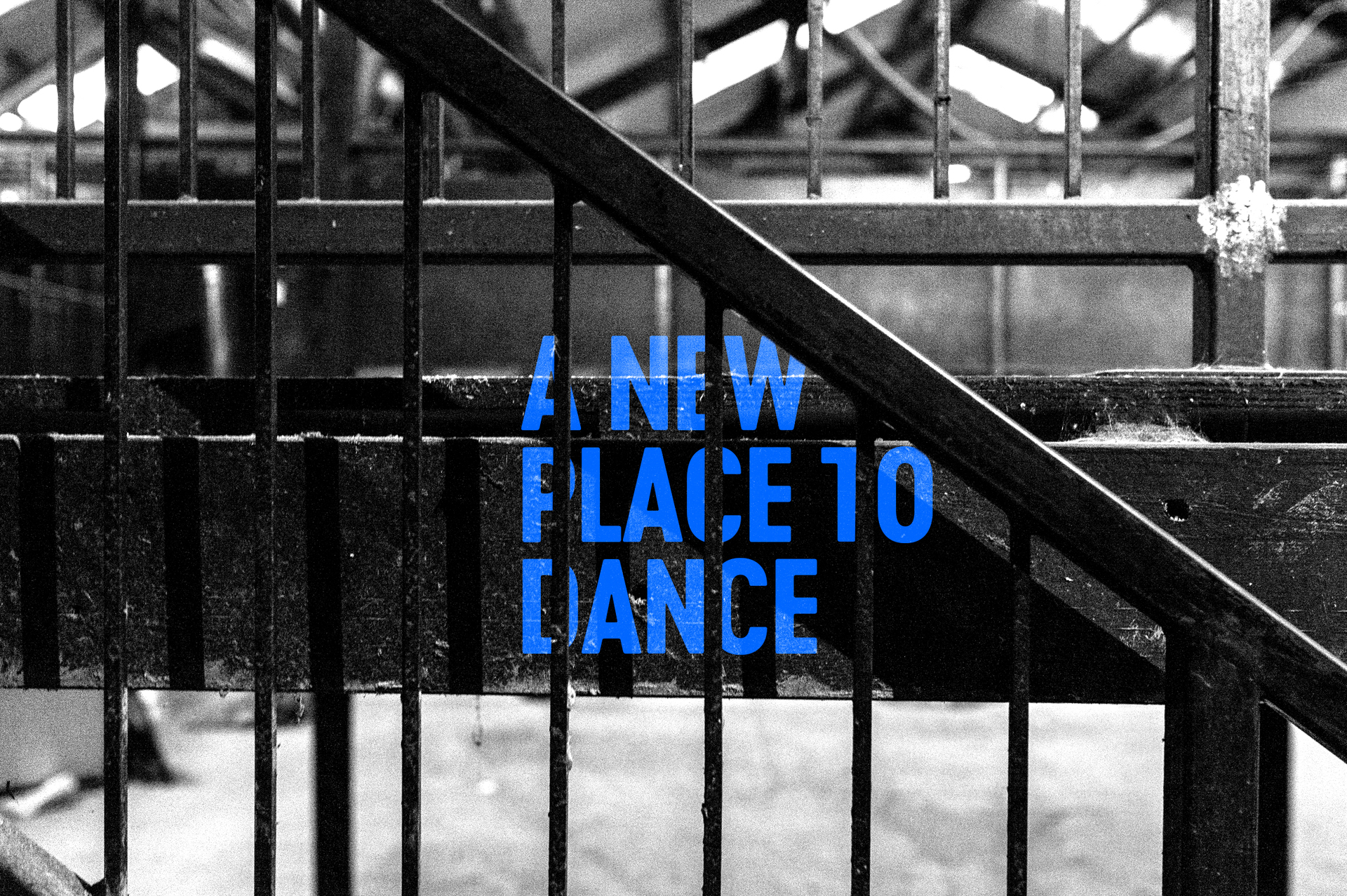 Places + Faces